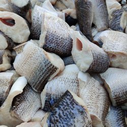 Pelletier's Restaurant & Fish Boil - The whitefish used for fishboils.