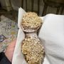 Photo of Cannoleria Gourmet