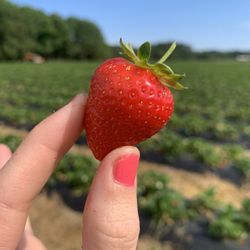Henley Farms