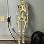 Photo of Select Chiropractic