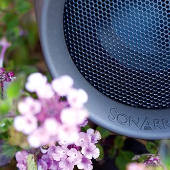 BIGWAVE - Landscape Sound System Installation - TV Mounting Near Me BIGWAVE - Landscape Sound System Installation - TV Mounting Near Me