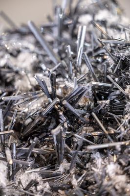 Santa Barbara Museum of Natural History by null