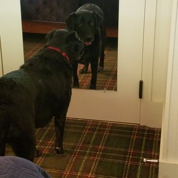 RT Lodge - Pet friendly - Hotels Near Me - Maryville, Tennessee