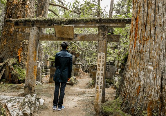Okunoin Cemetery by null