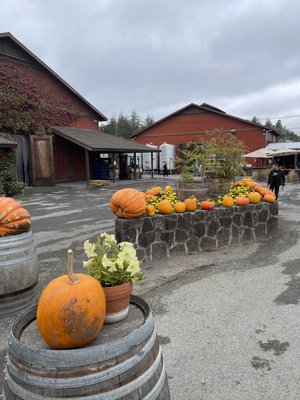 Iron Horse Vineyards by null