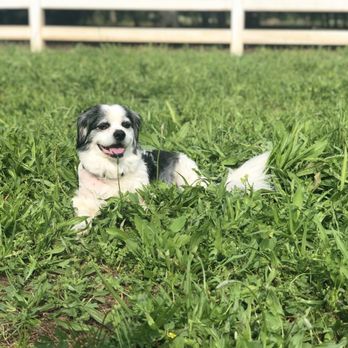 VCA Valley Oak Veterinary Center - Veterinarians Near Me - Chico, California