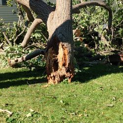 Four Seasons Tree Service - Storm Damage Large Tree Fell on House