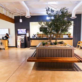 Ponderosa Dispensary - Cannabis Dispensaries Near Me - Tucson, Arizona Ponderosa Dispensary - Cannabis Dispensaries Near Me - Tucson, Arizona