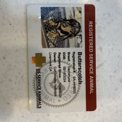 Safeway - SA registered animal