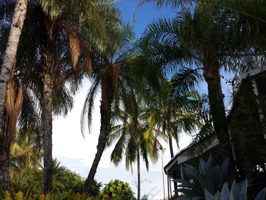 Pontão Lago Sul by null