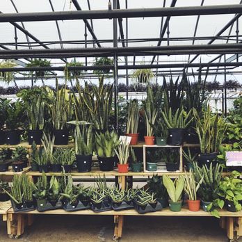 Benken Florist Home and Garden - Florists Near Me - Cincinnati, Ohio