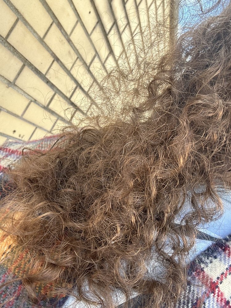 Factory Hair Salon Logo