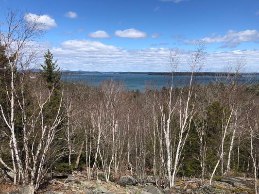 Bar Harbor Bicycle Shop by null