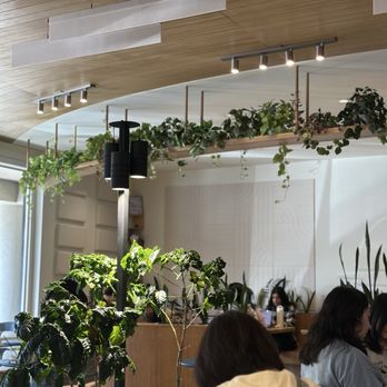 Moonwake Coffee Roasters - Coffee Roasteries Near Me - San Jose, California Moonwake Coffee Roasters - Coffee Roasteries Near Me - San Jose, California