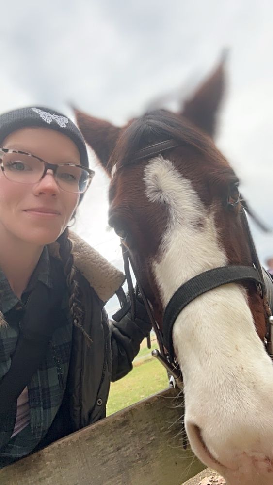 Jordan Hollow Stables - equestrian in Stanley, VA