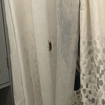 Park Mesa - This one came out when I was in the shower - Apartments Near Me - Costa Mesa, California