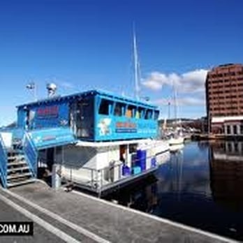 Mako Seafood & Takeaway - Seafood Near Me - Hobart, TAS Mako Seafood & Takeaway - Seafood Near Me - Hobart, TAS