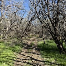 Patagonia-Sonoita Creek Preserve