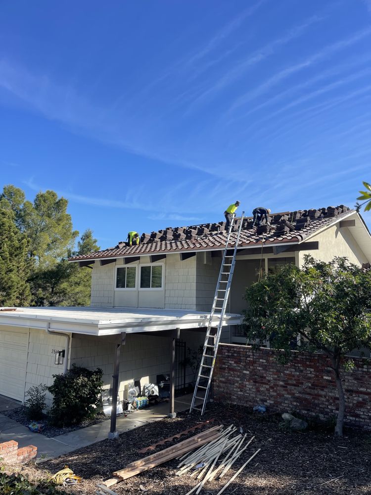 Slide of DLS Development