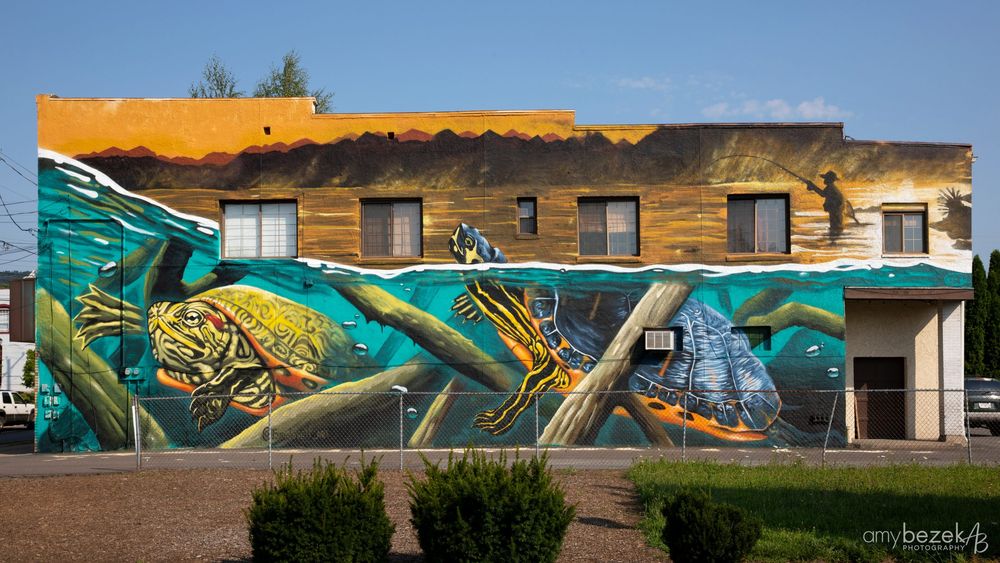 Street Art Society Of Nepa - social services organization in Kingston, PA