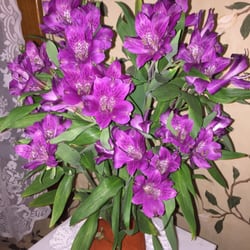 Ofts Bed & Breakfast - Amazing flowers in my room this evening!