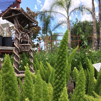 Kniffing's Discount Nursery - Nurseries & Gardening Near Me - El Cajon, California Kniffing's Discount Nursery - Nurseries & Gardening Near Me - El Cajon, California