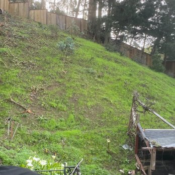 Go Panorama Landscaping - Hill before the project - Landscaping Near Me - San Jose, California Go Panorama Landscaping - Hill before the project - Landscaping Near Me - San Jose, California