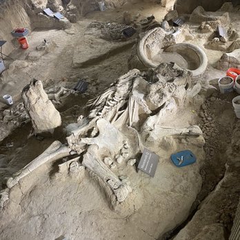 Waco Mammoth National Monument - Museums Near Me - Waco, Texas Waco Mammoth National Monument - Museums Near Me - Waco, Texas