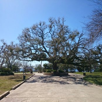 Oaks By The Bay - Playgrounds Near Me - Panama City, Florida Oaks By The Bay - Playgrounds Near Me - Panama City, Florida