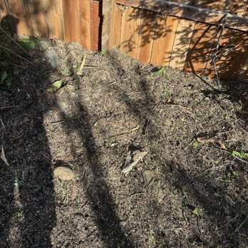 Apex Tree Care - After stump clean up - Tree Services Near Me