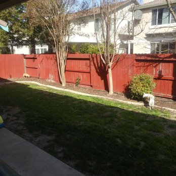Caligreen Landscaping - Before - Landscaping Near Me