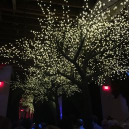 1st floor, cool lighting and ambiance