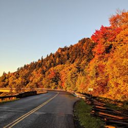Linn Cove Viaduct - Instagram: @telephonesmoothie