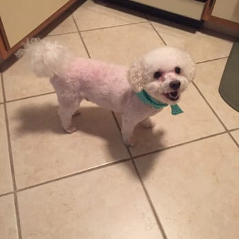 Best Friends A La Petite - My Wylie - Pet Groomers Near Me - Naples, Florida Best Friends A La Petite - My Wylie - Pet Groomers Near Me - Naples, Florida