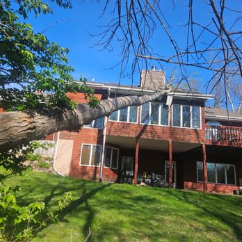 A Notch Above Tree Service - Not a good view out your window - Tree Services Near Me - Letts, Iowa