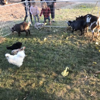 Pony Ranch Parties - Petting Zoos Near Me