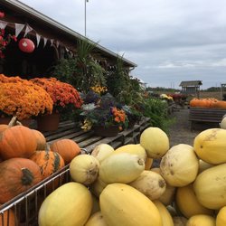 Price's Country Market & Greenhouse - Everything Harvest...