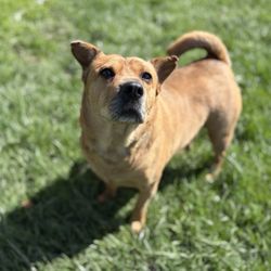 Hayden Run Animal Lodge - Our sweet girl enjoying her time outside