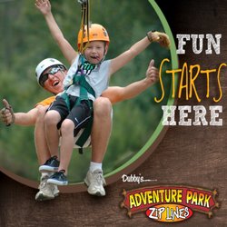 Adventure Park Ziplines - Adventure Park Ziplines