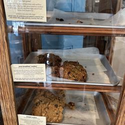 Laughing Gull - Cookies