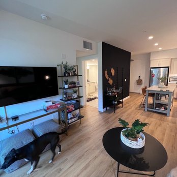 The Apartment Designer - Interior Design Near Me The Apartment Designer - Interior Design Near Me