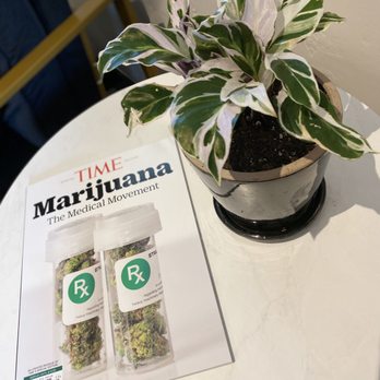Meadows Dispensary - Waiting Area - Cannabis Dispensaries Near Me - Denver, Colorado