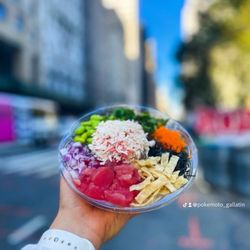 Pokemoto - Gallatin - Poke bowl with two proteins