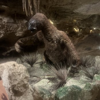 Xplor Park - A sloth from way way back in the day - Amusement Parks Near Me - Playa del Carmen, ROO