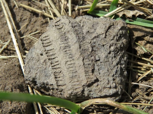 Photo of Knife River Indian Villages National Historic Site