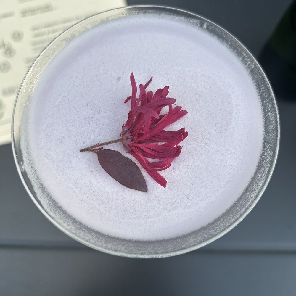 Bittersweet - Seaside Garden - Coffee & Tea Near Me - Raleigh, North Carolina