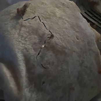 La Burrita - Some type of wire in our burrito - Mexican Near Me - Grants Pass, Oregon La Burrita - Some type of wire in our burrito - Mexican Near Me - Grants Pass, Oregon