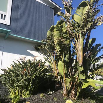 Reyscapes - Landscaping Near Me