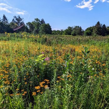 Churchill Park - Parks Near Me - Glen Ellyn, Illinois Churchill Park - Parks Near Me - Glen Ellyn, Illinois