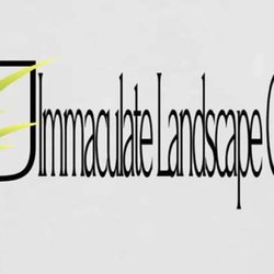 Immaculate Landscape